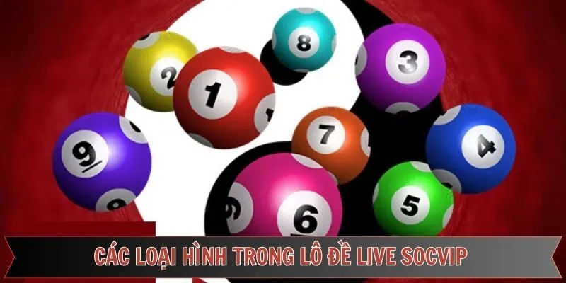 Tổng hợp các loại cược lô đề live Socvip phổ biến nhất